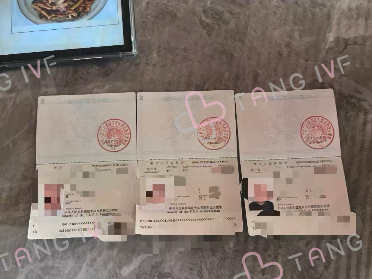 三份旅行证，三张回家票，三个家庭的圆满