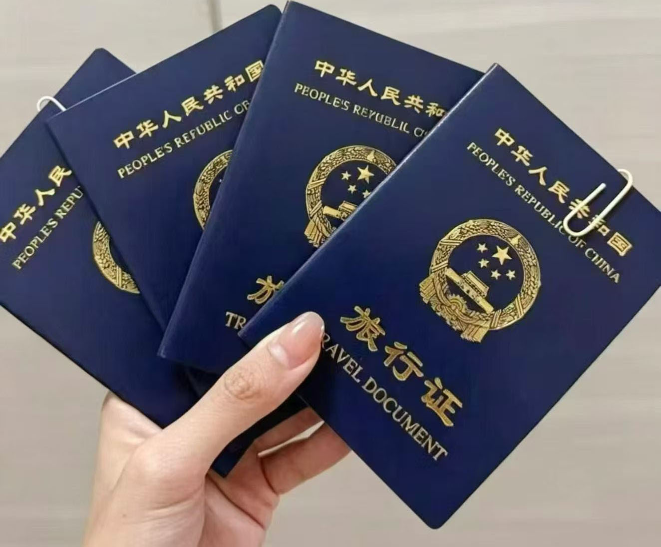 几个宝宝旅行证申领成功，静待团圆